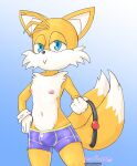  anthro ball_gag bedroom_eyes blue_background blue_eyes bulge canid canine clothed clothing eulipotyphlan flat_chested fox front_view fur gag gloves half-closed_eyes hand_on_hip handwear hedgehog hi_res looking_at_viewer male mammal miles_prower morapandita narrowed_eyes nipples orange_body orange_fur partially_clothed seductive simple_background smile solo sonic_the_hedgehog_(series) standing topless video_games wide_hips 