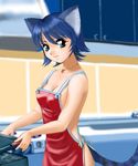  animal_ears apron blue_hair cat_ears catgirl cooking green_eyes naked naked_apron nekomimi no_panties nude short_hair 