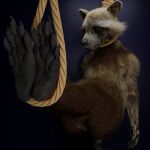  1:1 5_toes absurd_res anthro ascaniololololol asphyxiation balls barefoot death feet fur genitals guardians_of_the_galaxy hanged hi_res male mammal marvel necrophilia noose nude paws procyonid raccoon rocket_raccoon snuff solo strangling toes 