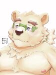  2021 3:4 anthro blue_eyes eyewear fur glasses hi_res leib_(tas) lhjal2 male mammal moobs nipples overweight overweight_male polar_bear portrait simple_background solo tokyo_afterschool_summoners ursid ursine video_games white_background white_body white_fur 