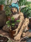  4_toes ambiguous_gender anthro aurru blue_eyes blue_hair dirt feet felid feline fingers fur hair lynx mammal plant solo spots spotted_body spotted_fur toes 