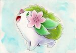  :d commentary_request creature full_body gen_4_pokemon green_eyes iwane_masaaki looking_up mythical_pokemon no_humans open_mouth paws pokemon pokemon_(creature) shaymin shaymin_(land) smile solo toes tongue 