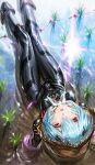  1girl aqua_hair ayanami_rei black_bodysuit bodysuit evangelion:_3.0_you_can_(not)_redo feet_out_of_frame hair_between_eyes highres lain looking_at_viewer neon_genesis_evangelion parted_lips partially_submerged plant plugsuit rebuild_of_evangelion red_eyes reflection ripples short_hair solo water 