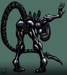  alien alien_(franchise) anthro anus bent_over breasts butt corinoch_(artist) female genitals hand_between_legs hi_res leaning_on_wall looking_at_viewer presenting presenting_anus presenting_hindquarters presenting_pussy pussy solo spread_pussy spreading xenomorph 