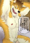  abs anthro barrel_(live-a-hero) canid canine canis flaccid genitals hi_res japanese_text live-a-hero looking_at_viewer male mammal muscular muscular_anthro muscular_male navel nipples nude pecs penis penis_base pubes text translation_request wolf wtnbkwiyd 