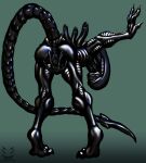  alien alien_(franchise) andromorph anthro anus bent_over butt corinoch_(artist) genitals hand_between_legs hi_res intersex leaning_on_wall looking_at_viewer presenting presenting_anus presenting_hindquarters presenting_pussy pussy solo spread_pussy spreading xenomorph 