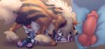  absurd_res anal anal_penetration anthro anthro_on_feral anthro_penetrated arcanine arctic_fox balls bestiality blizzard_(blizzyfox) by_dream canid canine collar duo feral feral_penetrating feral_penetrating_anthro fox genitals hi_res internal interspecies knot knotting leash male male/male male_penetrated male_penetrating male_penetrating_male mammal nintendo penetration pok&eacute;mon pok&eacute;mon_(species) pok&eacute;philia sex size_difference video_games 