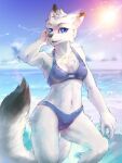  2021 3:4 anthro arctic_fox arm_tuft beach bikini black_nose blue_bikini blue_clothing blue_eyes blue_swimwear breasts canid canine cheek_tuft chest_tuft claws clothed clothing day dipstick_ears dipstick_tail elbow_tufts facial_tuft female finger_claws fingers fox fur head_tuft hi_res inner_ear_fluff lens_flare mammal multicolored_ears multicolored_tail navel nymnwales open_mouth portrait sea seaside smile solo standing summer swimwear three-quarter_portrait tuft water white_body white_fur willow_(goldenfox444) 