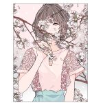  1girl blouse blue_skirt brown_hair cherry_blossoms floral_print framed gradient gradient_background grey_eyes hand_up highres kko_(um7mr) looking_at_viewer original petals pink_blouse short_hair skirt solo tree_branch upper_body white_background 