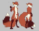  aaron_olin_(celticfox) animal_genitalia animal_penis anthro balls blue_eyes butt canid canine canine_penis celticfox dipstick_tail fox fur genitals gesture knot looking_back male mammal multicolored_tail orange_body orange_fur pawpads paws penis presenting presenting_hindquarters red_fox solo waving white_body white_fur 