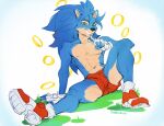  abs anthro balls_outline bottomwear bulge clothed clothing erection erection_under_clothing finger_on_chin fingerless_gloves footwear genital_outline gloves grass handwear looking_at_viewer male muscular muscular_anthro muscular_male penis_outline plant ring shoes shorts sitting smile solo sonic_the_hedgehog sonic_the_hedgehog_(series) thebigslick topless topless_male 