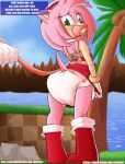  accessory amy_rose anthro blush boots clothing diaper digital_media_(artwork) duo english_text eulipotyphlan eyelashes female footwear grass hair hair_accessory hairband harness hedgehog hi_res lake leash mammal pacifier paddedulf palm_tree pink_body pink_hair plant rock sky solo_focus sonic_the_hedgehog_(series) text tree water 