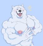  abs anthro barazoku biceps blush bodily_fluids canid canine canis domestic_dog eyes_closed fur gryblak hi_res hyper hyper_nipples male mammal muscular muscular_anthro muscular_male nipples nordic_sled_dog nude open_mouth pecs samoyed simple_background smile solo spitz teeth tongue tongue_out white_body white_fur 