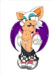  furry nude rouge_the_bat sonic_riders sonic_the_hedgehog thong wardrobe_malfunction white_thong 
