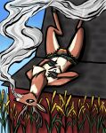  absurd_res anthro antlers barn blue_sky bottomwear breasts brown_eyes bulge capreoline cervid clothed clothing cornfield cornstalks deep_navel drugs erect_nipples farm gynomorph hi_res hooves horn intersex lace_panties lingerie lying mammal marijuana navel nipples nsfwulf on_back panties pattern_bottomwear pattern_clothing pattern_panties pattern_underwear pubes relaxing roof rooftop sky small_breasts smoke smoking smoking_weed solo striped_bottomwear striped_clothing striped_panties striped_underwear stripes topless topless_anthro trans_(lore) trans_woman_(lore) underwear white-tailed_deer 