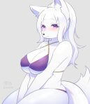  2020 anthro big_breasts bikini blush breasts canid canine canis cleavage clothed clothing english_text female fluffy fluffy_tail fur grey_background hair hi_res japanese_text kemono long_hair looking_at_viewer mammal purple_bikini purple_clothing purple_eyes purple_swimwear satoss simple_background skimpy snout swimwear text under_boob white_body white_fur white_hair wolf 