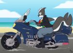  anthro beach black_body breasts cetacean cleavage clothed clothing daryah_(rileyrivers) delphinoid female fuf hair hi_res honda hybrid mammal marine motorcycle oceanic_dolphin orca outside pinniped seal seaside solo toothed_whale vehicle 