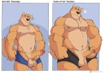  ... 2021 anthro balls big_muscles body_size_growth canid canine canis clothed clothing comparing domestic_dog english_text erection foreskin frown genitals growth hi_res humanoid_genitalia humanoid_penis humor male mammal muscle_growth muscular muscular_anthro muscular_male navel nipples pecs penis size_transformation smile solo standing text topless topless_male transformation uncut underwear underwear_down vitashi 