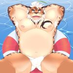  1:1 2021 anthro belly blue_eyes bulge clothing dhioraito0 felid genital_outline hombretigre kemono male mammal moobs nipples overweight overweight_male pantherine penis_outline solo swimwear tiger tokyo_afterschool_summoners video_games water 