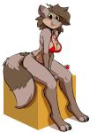  anthro bikini blep breasts brown_body brown_eyes brown_fur brown_hair clothing digital_media_(artwork) female fur hair hi_res infinitedge2u jesse_(ciderward) mammal procyonid raccoon sitting smile solo swimwear tongue tongue_out 