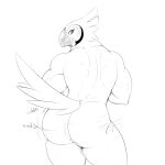  1:1 2020 anthro avian beak biceps big_butt bird black_and_white breath_of_the_wild butt butt_pose digital_media_(artwork) feathers girokett kass_(tloz) looking_at_viewer looking_back looking_back_at_viewer male monochrome motion_lines muscular muscular_anthro muscular_male nintendo nude onomatopoeia pose presenting presenting_hindquarters rear_view rito shaking_butt simple_background sketch solo sound_effects tail_feathers text the_legend_of_zelda thick_thighs video_games white_background wide_hips 