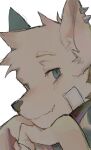  1boy bandage_on_face bandages blue_eyes close-up fang from_side furry furry_male hand_on_own_chin highres itooku looking_at_viewer original skin_fang smug spike_piercing spikes white_fur wolf_boy 