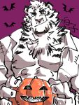  1boy animal_ears arknights bara furry furry_male halloween head_tilt highres implied_masturbation jack-o&#039;-lantern large_pectorals looking_at_viewer male_focus mature_male mountain_(arknights) muscular muscular_male pectorals scar scar_across_eye scar_on_face shirako_(kirupi) short_hair sketch smirk solo thick_eyebrows tiger_boy tiger_ears white_fur white_hair 