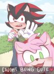  amy_rose anthro blush casual_clothing crepe cute_face date dessert duo eating embarrassed eulipotyphlan female food hedgehog male male/female mammal meme princess_lemonchan romantic_couple shadow_the_hedgehog shocked simple_background snapchat social_media sonic_the_hedgehog_(comics) sonic_the_hedgehog_(series) 