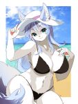 &gt;:3 2023 3:4 5_fingers :3 absurd_res anthro beach big_breasts bikini biped black_bikini black_bottomwear black_clothing black_swimwear black_topwear blue_body blue_ears blue_fur blue_hair blue_tail blue_tail_tip border bottomwear breasts canid canine canis cel_shading chest_tuft cleavage clothed clothing cloud colored day detailed_background digital_media_(artwork) dipstick_tail eyelashes female female_anthro fingerpads fingers fluffy fluffy_tail front_view full_cleavage fur furgonomic_headwear green_eyes grey_tail hair hat headgear headwear hi_res highlights_(coloring) humanoid_hands inner_ear_fluff kemono long_hair looking_at_viewer mammal manmaru_mao markings midriff multicolored_body multicolored_ears multicolored_fur multicolored_hair multicolored_tail navel outside pawpads pink_nose pink_pawpads pinup portrait pose sand seaside shaded sky solo standing swimwear tail tail_markings three-quarter_portrait topwear tuft two_tone_body two_tone_ears two_tone_fur two_tone_hair two_tone_tail water white_body white_border white_fur white_hair white_highlights white_inner_ear white_inner_ear_fluff wide_hips