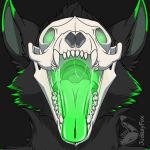 1:1 ambiguous_gender animated anthro black_body black_fur bodily_fluids bone digital_media_(artwork) fur judasyfox looking_at_viewer mouth_shot open_mouth saliva saliva_string sharp_teeth short_playtime simple_background skull skull_head solo teeth tongue tongue_out