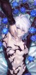  2boys arms_up blue_eyes blue_flower blue_rose flower granblue_fantasy hand_on_another&#039;s_cheek hand_on_another&#039;s_face highres lucilius_(granblue_fantasy) lying male_focus multiple_boys on_back rose scar scar_on_neck sw21159502 thorns toned white_hair 