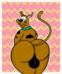 absurd_res anthro backsack balls big_balls big_butt black_balls black_eyes black_nose brown_body brown_fur butt canid canine canis collar collar_only domestic_dog freckles freckles_on_butt fur genitals great_dane hanna-barbera hi_res looking_at_butt looking_back male mammal mastiff molosser nude presenting presenting_hindquarters rear_view scooby-doo scooby-doo_(series) shy solo tail thick_thighs veggieafterdark warner_brothers wide_hips