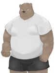 2024 anthro bear belly black_nose bottomwear brown_body brown_fur clothing en_1_9 fur hi_res kemono male mammal overweight overweight_male shirt shorts simple_background solo topwear white_background