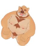 2024 anthro balls belly brown_body genitals hi_res humanoid_hands kemono male mammal moobs nipples overweight overweight_male penis pubes simple_background solo suid suina sus_(pig) tengzai05 white_background wild_boar