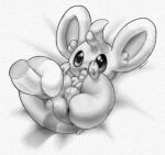 2024 3_toes absurd_res anus balls big_ears butt chest_tuft digital_drawing_(artwork) digital_media_(artwork) disembodied_penis feet feral generation_5_pokemon genitals greyscale head_tuft hi_res legs_up lying male male/male minccino mklxiv monochrome nintendo on_back penis perineum pokemon pokemon_(species) presenting presenting_anus signature smile solo toes tuft