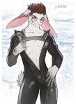  anthro bodysuit bulge clothing eyewear glasses hands_on_own_legs harness hi_res kainin kardie lagomorph leporid male mammal opening_shirt rabbit skinsuit smile solo tail_tuft tight_clothing tuft zipper 