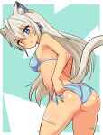  1girl adjusting_clothes adjusting_swimsuit animal_ears ass back bikini blue_bikini blue_eyes body_markings breasts cat_ears cat_girl cat_tail commentary cougar_(cougar1404) cowboy_shot from_behind grey_hair heterochromia leaning_forward long_hair looking_at_viewer looking_back medium_breasts original side-tie_bikini_bottom silui_(cougar1404) solo standing swimsuit tail tan tiger_stripes yellow_eyes 