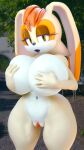  anthro big_breasts blender_(software) breasts brown_eyes curvy_figure female genitals grope hi_res huge_breasts lagomorph leporid mammal mature_female nude outside palisal pussy rabbit sonic_the_hedgehog_(series) thick_thighs vanilla_the_rabbit voluptuous 