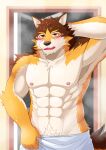 abs after_shower anthro barrel_(live-a-hero) blush brown_body brown_ears brown_fur brown_tail canid canine canis chest_tuft collarbone fur fur_tuft hand_behind_head hi_res kotorran live-a-hero male mammal multicolored_body multicolored_fur muscular muscular_anthro muscular_male nipples pecs pink_nipples pubes raised_arm solo towel tuft wet wet_body wet_fur wolf 