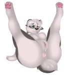 anthro bear bite biting_lip breasts butt dripping female giant_panda heterochromia hi_res mamavixy mammal pawpads paws presenting solo