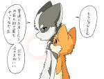 2024 ambiguous_gender ayaka blue_eyes canid canine canis comic countershading dialogue domestic_dog duo female_(lore) feral fur grey_body grey_fur husky japanese_text kemono kyappy male_(lore) mammal manga nordic_sled_dog orange_body orange_fur red_eyes semi-anthro shiba_inu shibeta spitz tan_body tan_fur tan_inner_ear text translated white_body white_fur white_inner_ear