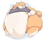 2023 anthro belly big_belly breath canid canine canis clothing cute_fangs domestic_dog double_chin fat_cheeks hand_on_belly hi_res huge_belly huge_moobs huge_thighs kapptastic male mammal morbidly_obese morbidly_obese_anthro morbidly_obese_male obese obese_anthro obese_male obscured_eyes out_of_breath overweight overweight_anthro overweight_male shiba_inu shirt solo spitz tank_top thick_thighs tight_clothing tongue tongue_out topwear