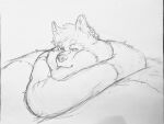 ambiguous_gender anthro canid canine chubby_cheeks chubby_face double_chin fur mammal monochrome morbidly_obese morbidly_obese_ambiguous morbidly_obese_anthro neck_rolls obese obese_ambiguous obese_anthro overweight overweight_ambiguous overweight_anthro sketch smile solo white-ryce