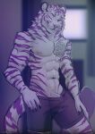 anthro bottomwear bulge clothing erection erection_under_clothing felid genitals hi_res looking_at_viewer male mammal muscular muscular_anthro one_eye_closed pantherine penis penis_base solo tarin_nailo tiger wink winking_at_viewer zempy3
