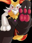 15roacxs absurd_res anal anal_penetration braixen breasts feet female generation_6_pokemon genitals hi_res nintendo penetration pokemon pokemon_(species) pussy solo