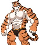 abs absurd_res anthro areola biped bulge clothed clothing countershade_fur countershade_torso countershading darknaigart epic_games fangs felid fortnite fur hi_res male mammal muscular muscular_anthro muscular_male nipples oscar_(fortnite) pantherine pecs solo striped_body striped_fur stripes tail teeth tiger topless topless_anthro topless_male underwear underwear_only
