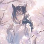  1girl :3 animal_ears brown_hair cat_ears cat_girl cat_tail cherry_blossoms creature creature_on_shoulder grey_eyes highres long_sleeves looking_at_viewer on_shoulder original popepopo999 short_hair sleeves_past_wrists smile sweater tail v white_sweater 