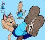  absurd_res anthro bag beerus black_eyes blue_background bottomwear bracelet brown_body brown_fur brown_hair brown_nose clothed clothing collar cosplay dipstick_tail domestic_cat dragon_ball dragon_ball_super ear_piercing ear_ring eyebrows eyes_closed eyewear felid feline felis footprint footwear fur glasses hair half-closed_eyes hands_behind_head hi_res jewelry jewlery jinu jinu_(character) looking_aside lying male mammal multicolored_body multicolored_fur multicolored_tail narrowed_eyes nike on_back open_mouth pants pawprint piercing reference_image simple_background smile solo topless two_tone_body two_tone_fur whiskers 