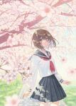  1girl black_skirt branch brown_hair cherry_blossoms closed_mouth floating_hair flower grass grey_eyes hanami highres k.nishiyama looking_at_viewer neckerchief original outdoors painting_(medium) pink_flower pleated_skirt red_neckerchief school_uniform serafuku short_hair skirt smile solo standing traditional_media tree uniform watercolor_(medium) white_serafuku 