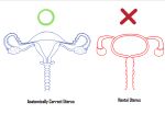  anatomically_correct crossman female genitals how-to pussy uterus 